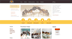 Desktop Screenshot of antshop.ru